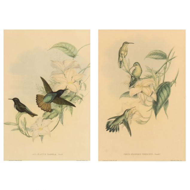 two-decorative-prints-after-gould-richter-hummingbird-lithographs