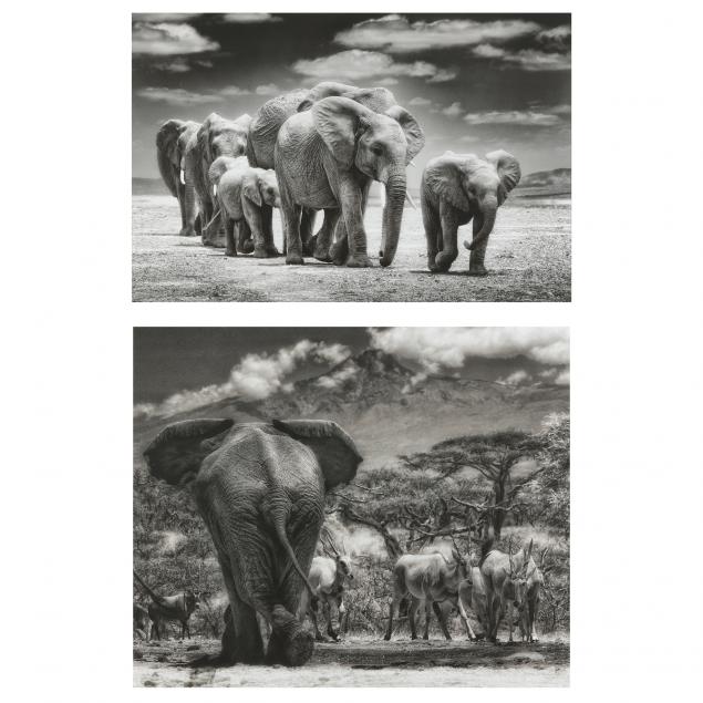 tom-bossard-sc-i-elephants-i-i-elephants-and-antelope-i-two-large-photographs