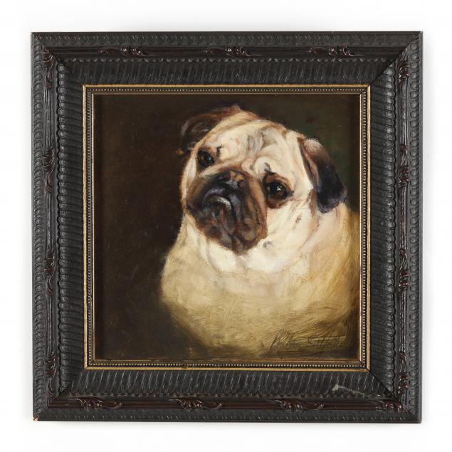a-contemporary-portrait-of-a-curious-pug