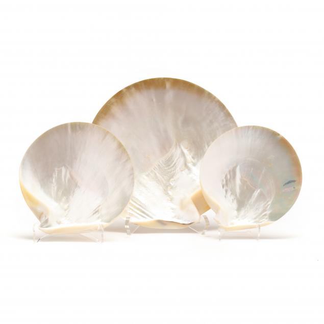 a-set-of-32-mother-of-pearl-shell-dishes