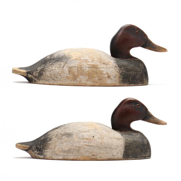 two-michigan-canvasbacks