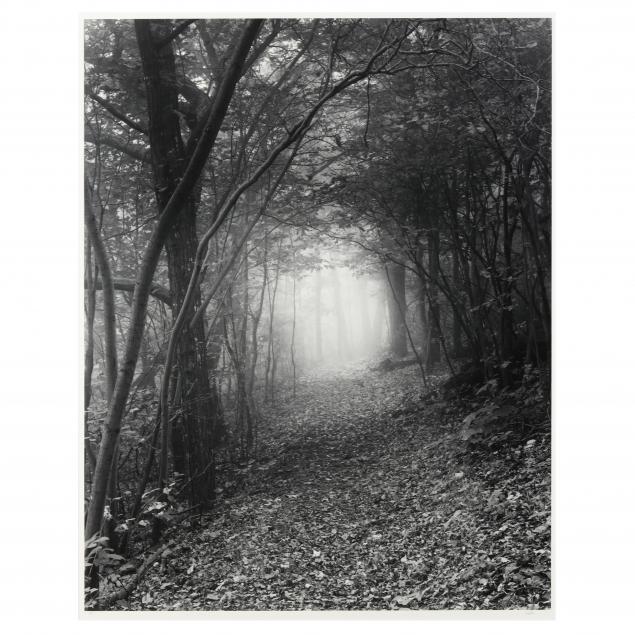 hullihen-moore-american-b-1942-i-appalachian-trail-and-mist-i