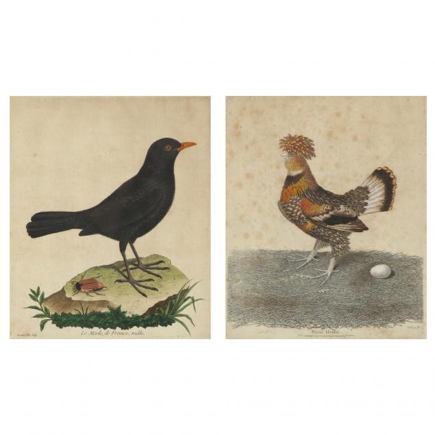 francois-nicolas-martinet-french-circa-1725-1804-two-bird-engravings