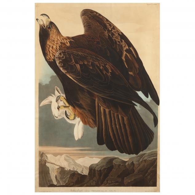 john-james-audubon-american-1785-1851-i-golden-eagle-i-havell-edition