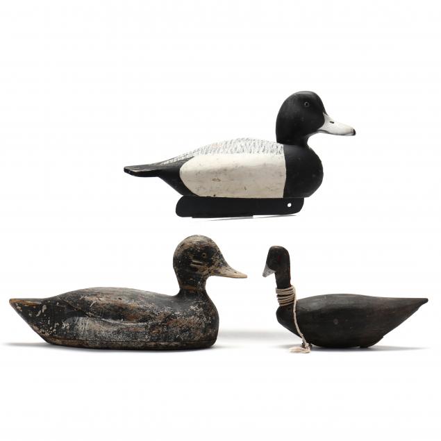 two-bluebills-and-a-coot-decoy