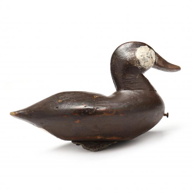 important-john-williams-va-1858-1937-rig-ruddy-duck