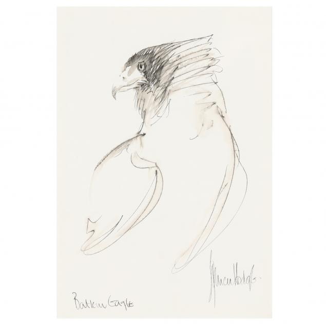 spencer-hodge-british-b-1943-sketch-of-an-eagle