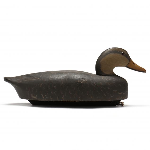 wildfowler-ct-black-duck