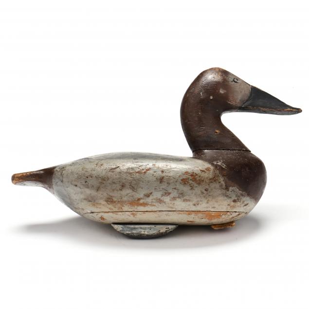 charles-nelson-barnard-md-1876-1958-hen-canvasback