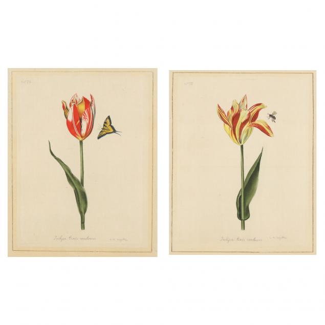 la-roche-lafitte-french-b-1943-a-pair-of-tulip-paintings