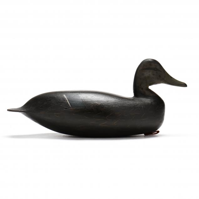 rhodes-truex-nj-1860-1934-black-duck