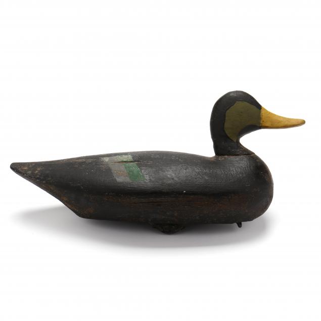 ned-burgess-nc-1868-1958-black-duck