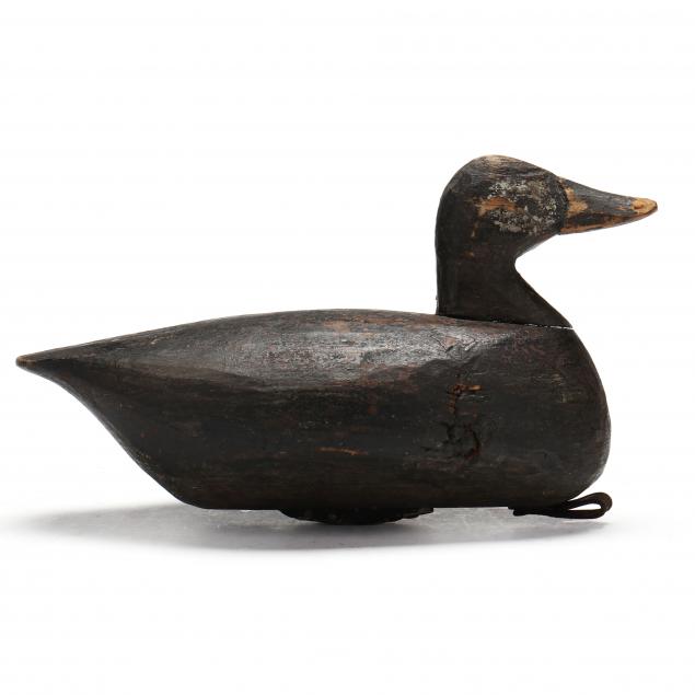 rare-charlie-perry-nc-1892-1964-ruddy-duck