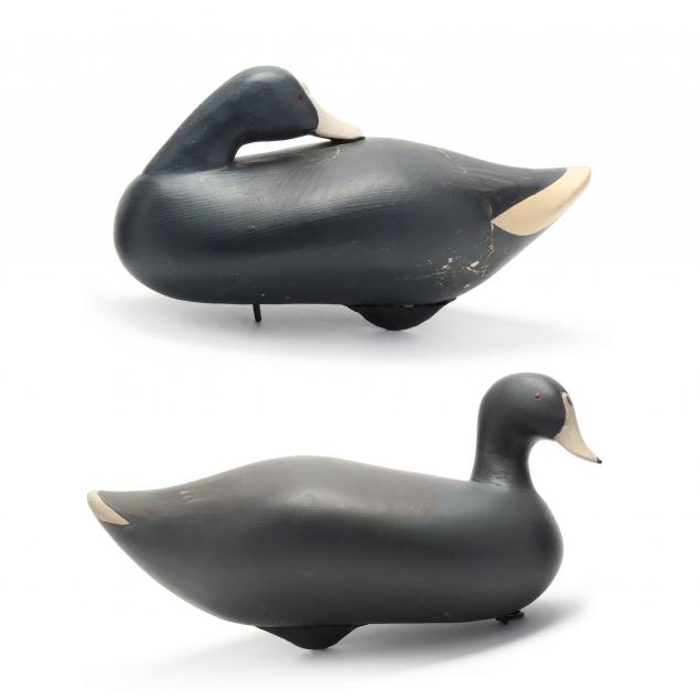 madison-mitchell-md-1901-1993-coot-pair