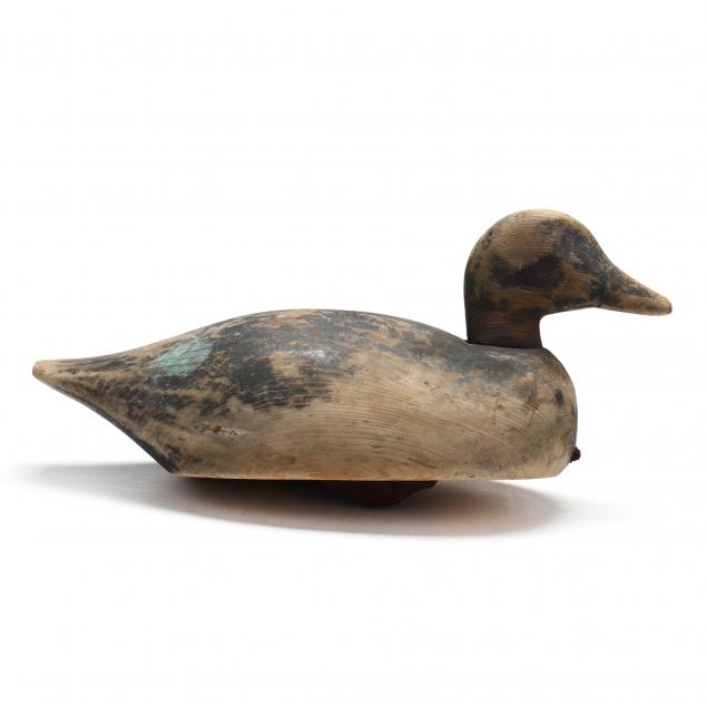 tucker-daniels-nc-1879-1953-black-duck