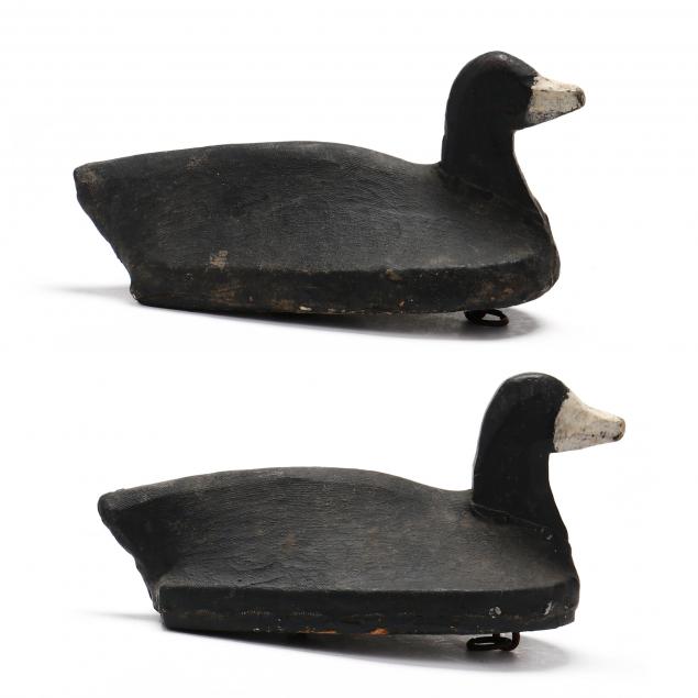 m-r-mathias-va-coot-pair