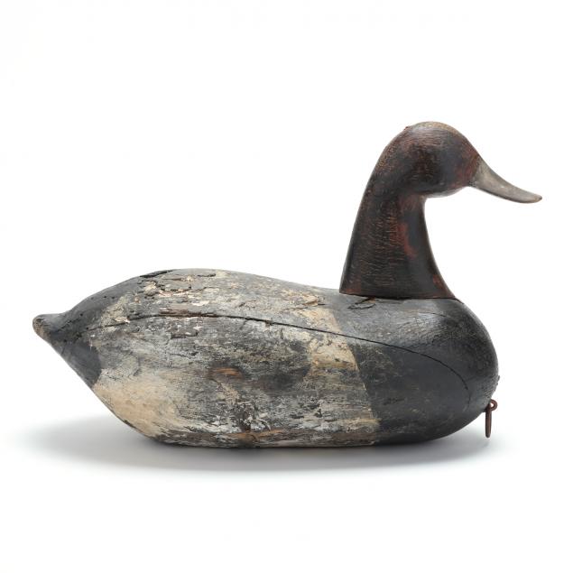 alvirah-wright-nc-1872-1951-canvasback-with-contemporary-head