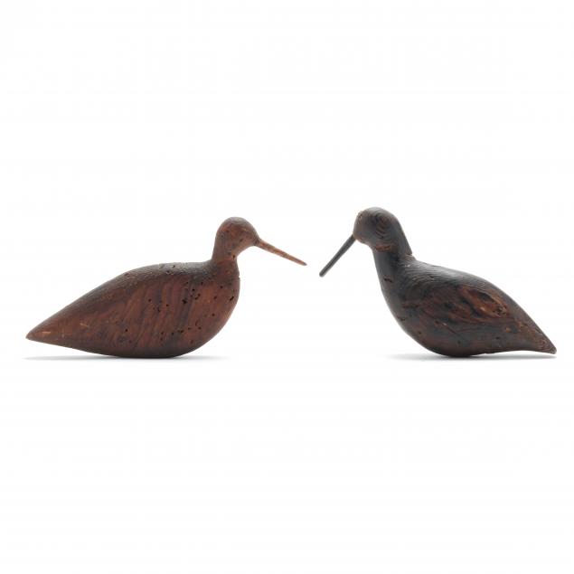two-hatteras-shorebirds
