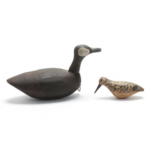 vince-o-neal-nc-root-head-ruddy-duck-and-peep-shorebird