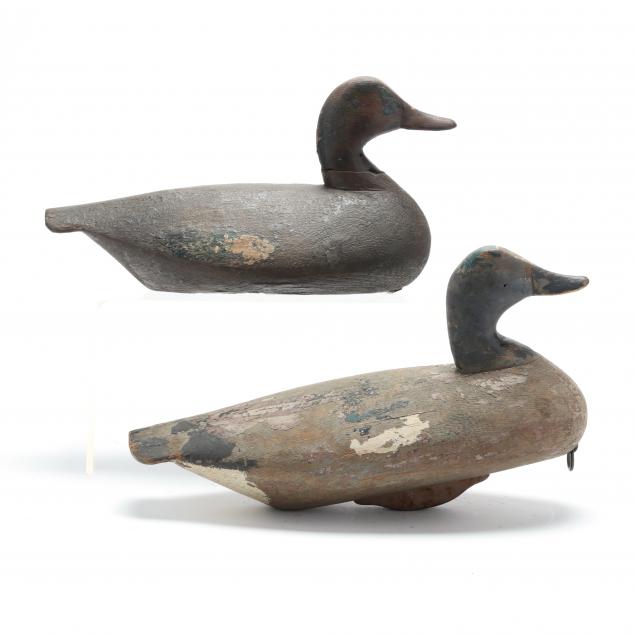 ned-burgess-nc-1868-1958-two-diver-ducks-painted-as-widgeon