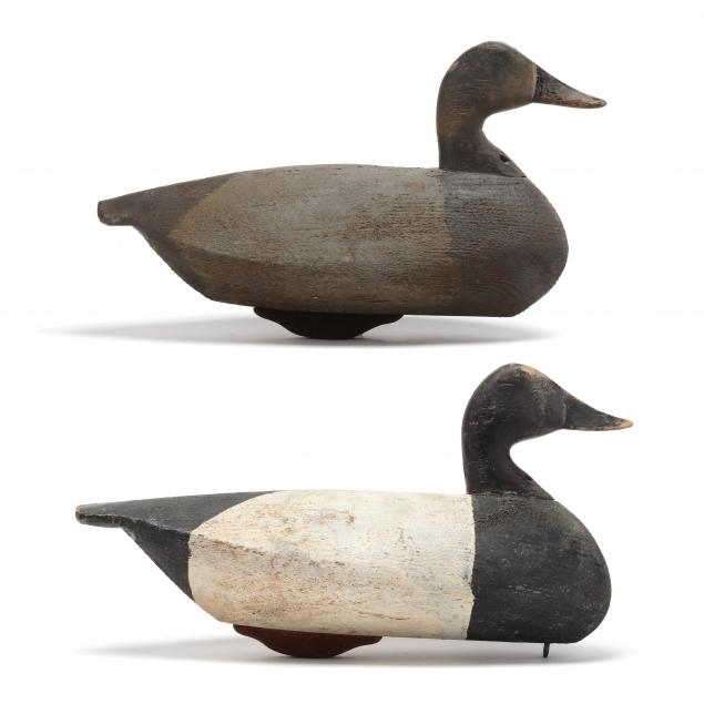 ned-burgess-nc-1868-1958-important-pair-of-oversized-canvasbacks
