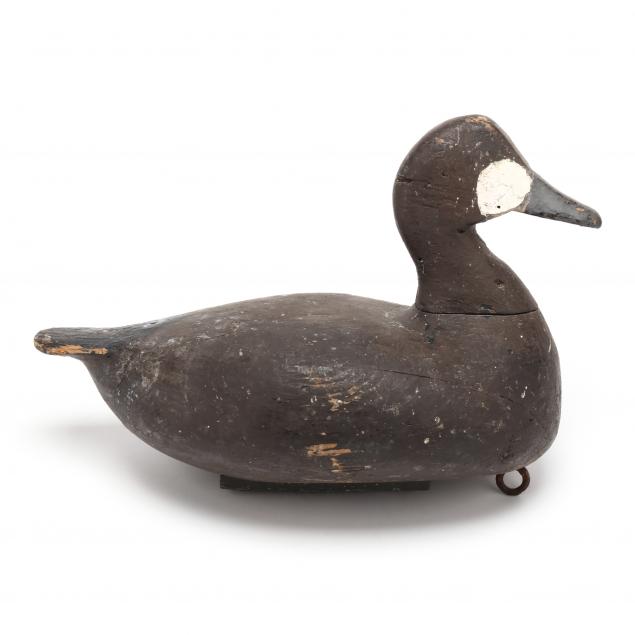 walter-beasley-nc-1876-1953-ruddy-duck