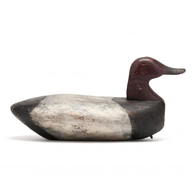 early-hog-quarter-nc-canvasback