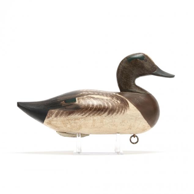 paul-gibson-md-1902-1984-widgeon