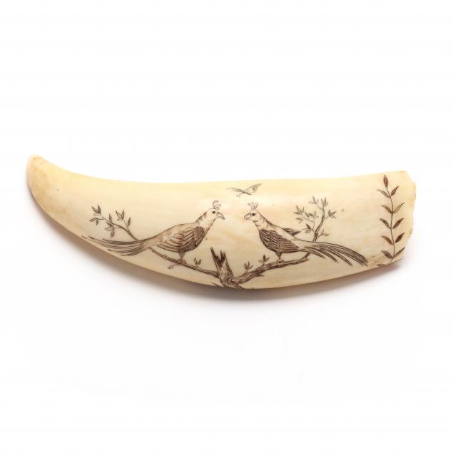 robert-e-spring-me-1938-2016-a-scrimshaw-with-exotic-bird-decoration