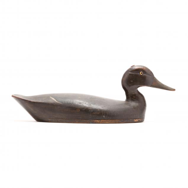 ed-mcneil-canada-black-duck