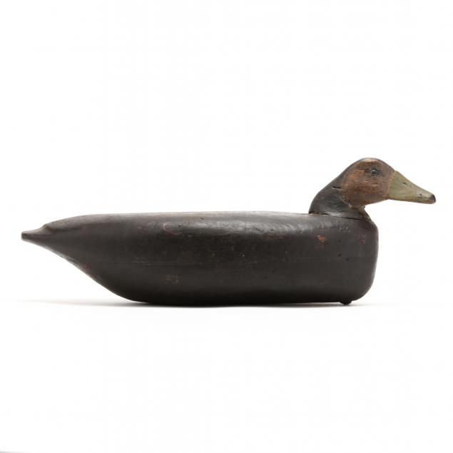 john-bowen-nj-1854-1953-black-duck