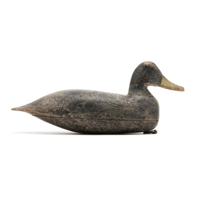 rhodes-truex-nj-1860-1934-black-duck