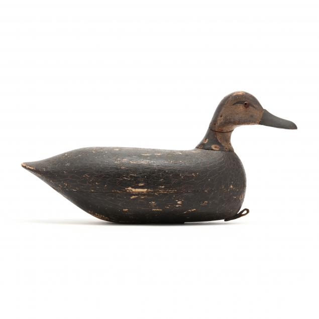 samuel-soper-nj-1863-1943-black-duck