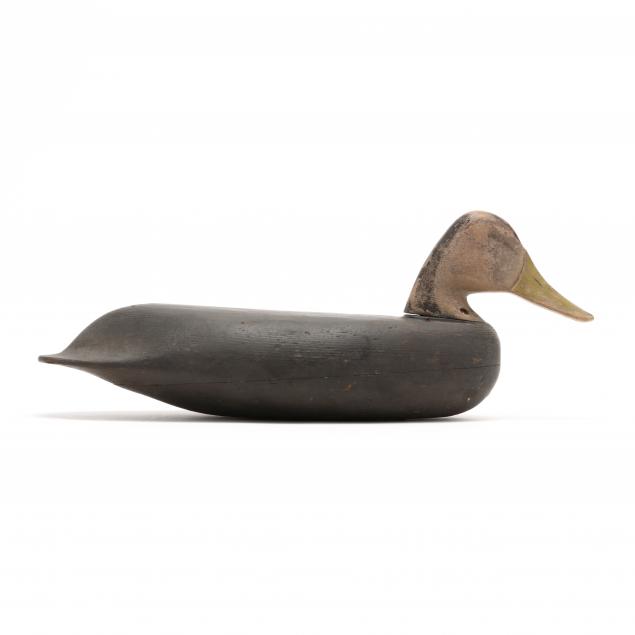 early-new-jersey-black-duck-with-drop-down-tail