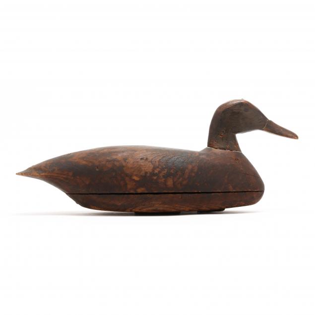 lester-van-brunt-nj-black-duck