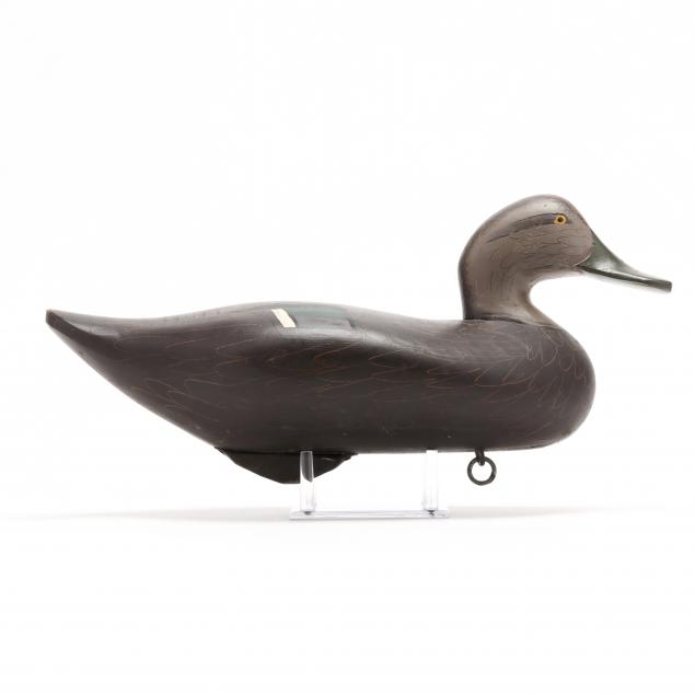 madison-mitchell-md-1901-1993-black-duck