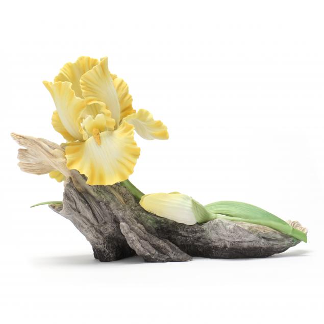 boehm-porcelain-i-helen-boehm-yellow-iris-i