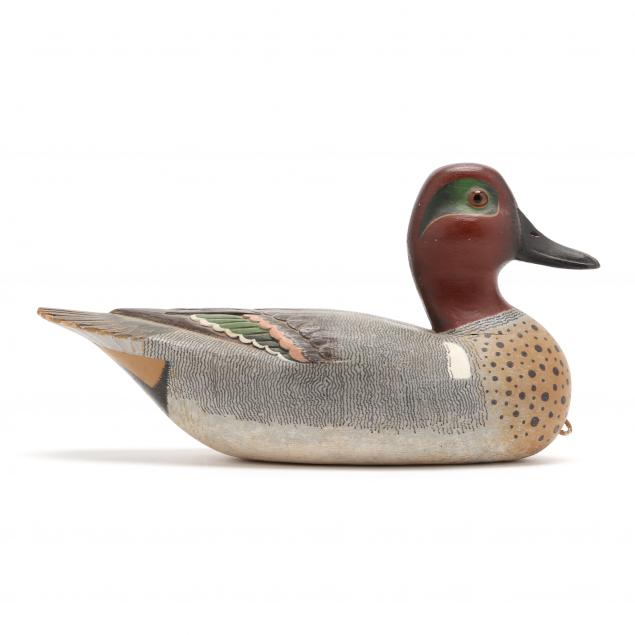 james-stutz-tx-green-winged-teal