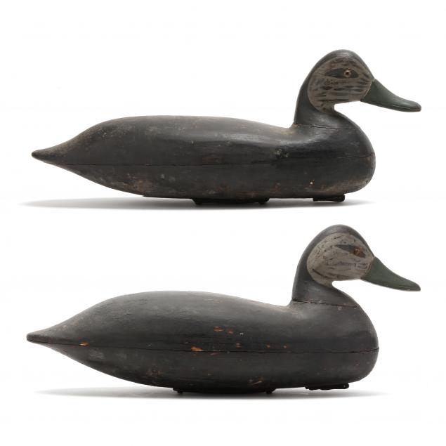 harry-v-shourds-nj-1861-1920-pair-of-black-ducks