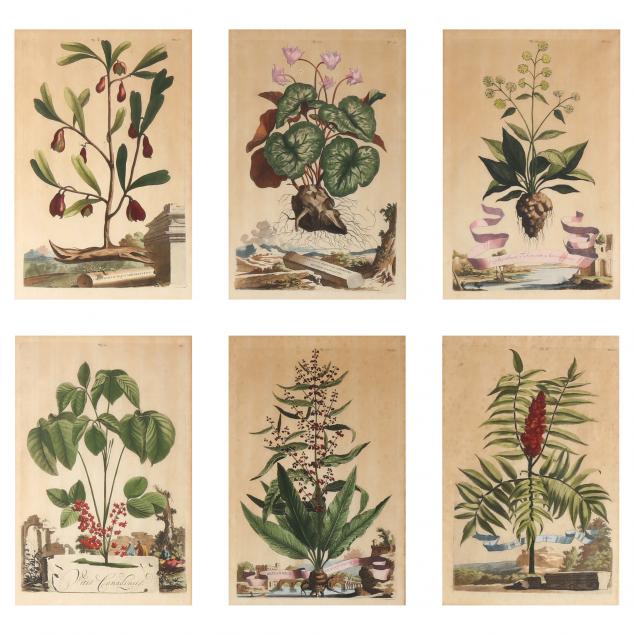 abraham-munting-dutch-1626-1683-six-botanical-engravings