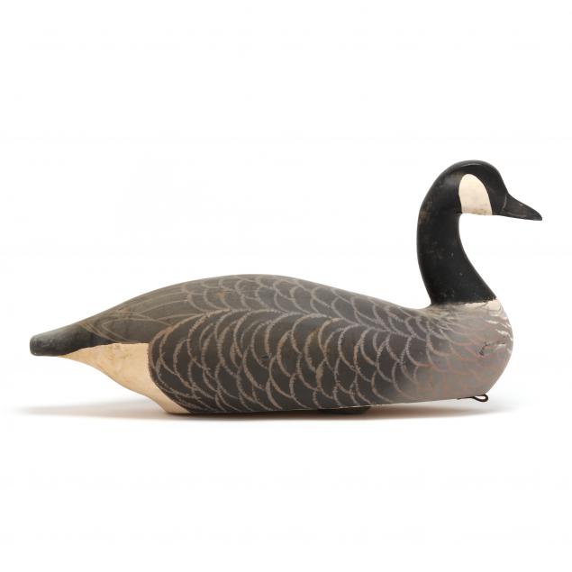 canadian-goose