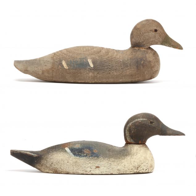 poitevin-bros-pintail-and-victor-hen-mallard