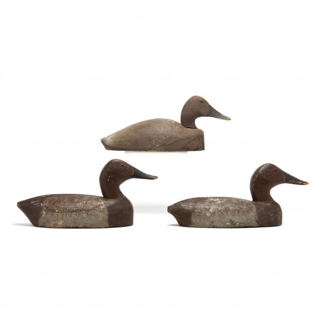 three-early-michigan-hen-canvasbacks