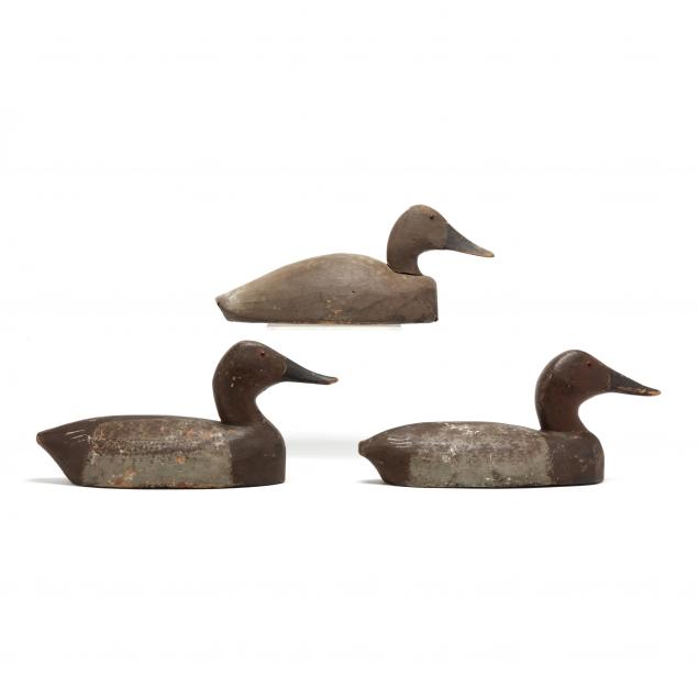 three-early-michigan-hen-canvasbacks