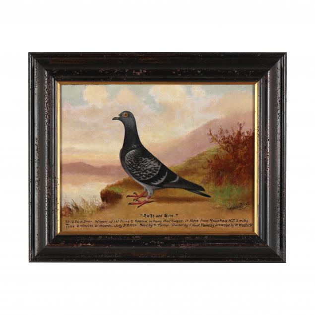 andrew-beer-english-1862-1954-racing-pigeon-portrait-i-swift-and-sure-i