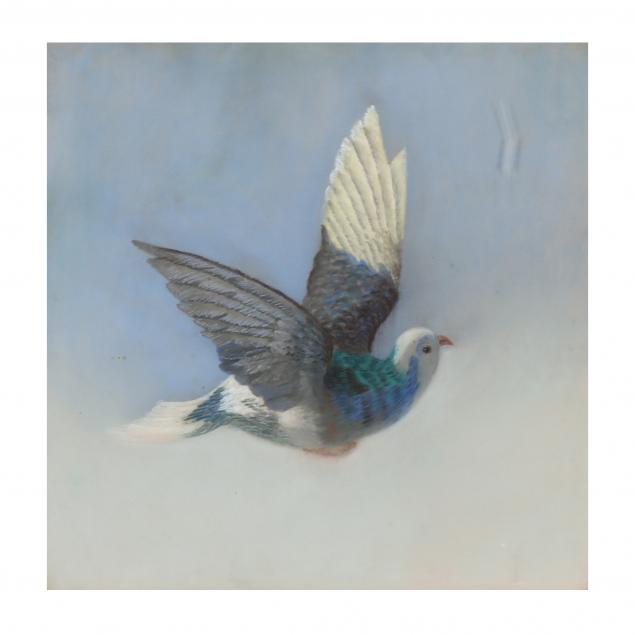 english-school-20th-century-portrait-of-a-flying-pigeon