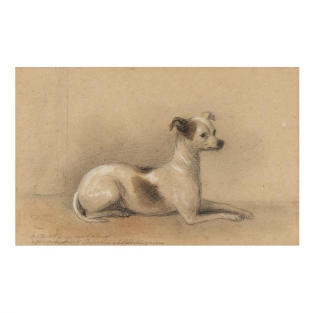 alexander-blaikley-english-1816-1903-study-of-an-italian-greyhound