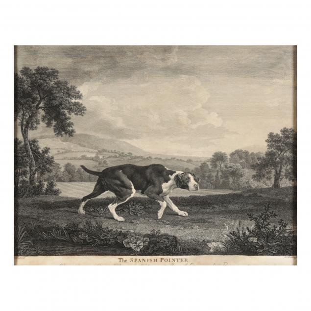 after-george-stubbs-english-1724-1806-i-the-spanish-pointer-i