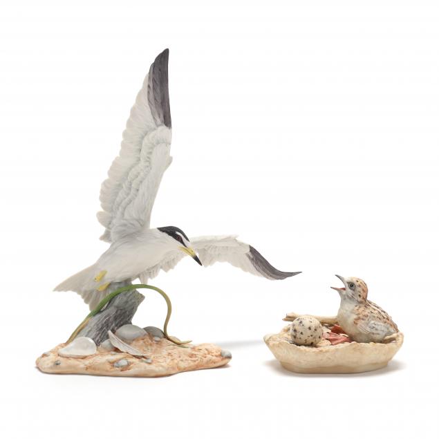 boehm-porcelain-i-least-tern-i-and-i-least-tern-nest-i