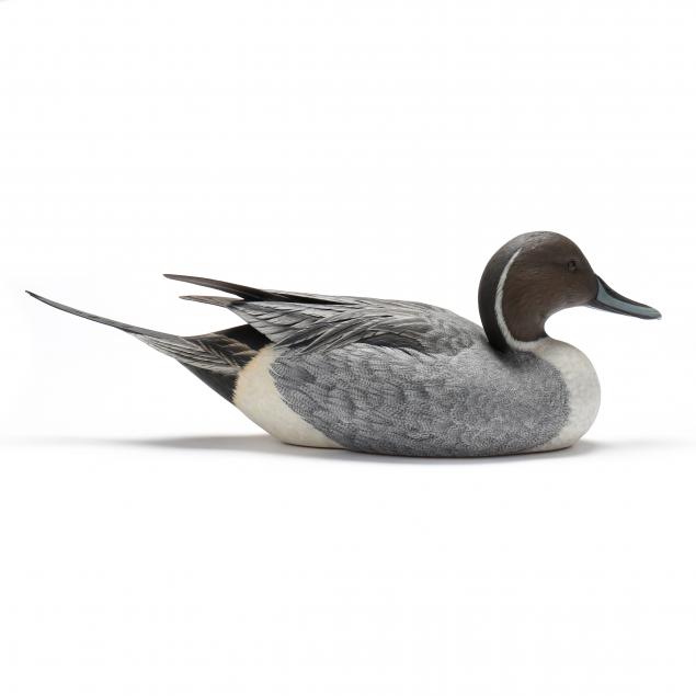 ben-heinemann-nc-pintail